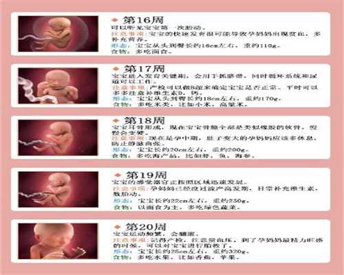 上海滨哪里有助孕_天婴福助孕公司_添一助孕价格表