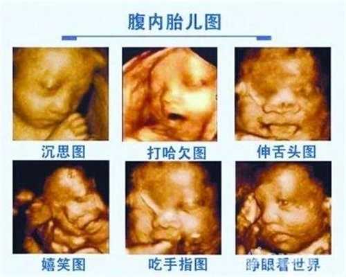 上海代孕包男孩_找个代孕的_孕宝代孕