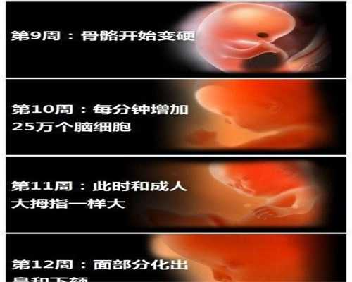 上海代孕好吗_代孕宝宝公司_代孕孩子产子的流程