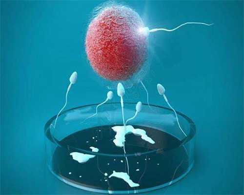 三次胚胎停育可以找代孕吗-上海代孕一次成功吗_试管婴儿三代跟普通试管婴儿