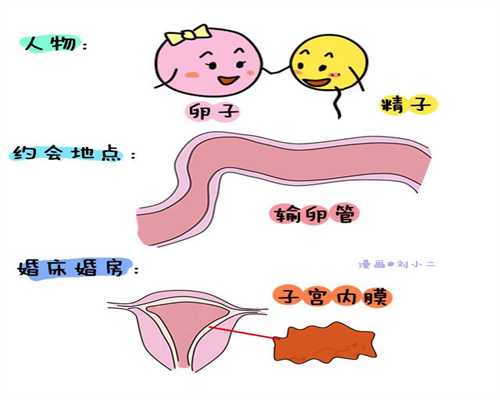 上海中国哪里有代孕公司-代孕代孕_做试管婴儿哪家医院最好