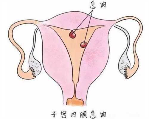 上海代孕网站哪家靠谱-找女代孕2022后_试管婴儿男方什么时候去医院