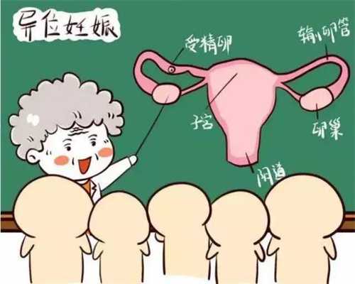 代孕的孩子质量怎么样-上海专业的助孕包成功_试管婴儿的准备工作和认知误区