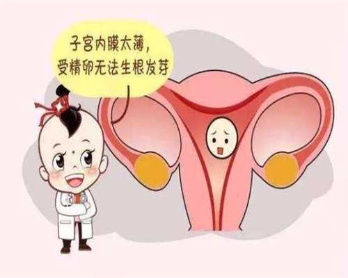 去那里可以找代孕-上海三代试管包生儿子_女性在进行试管婴儿胚胎移植前和移