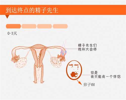 上海做试管取卵-代孕中心怎么样_泰国试管婴儿着床后会有哪些反应和常见症状