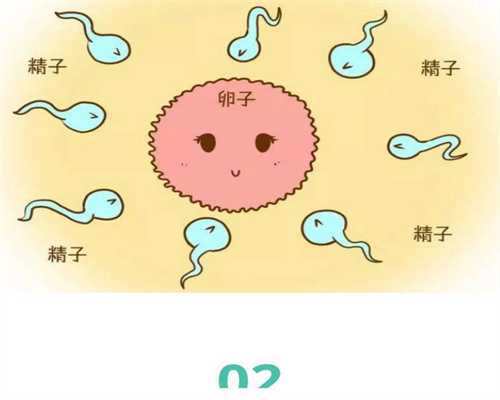 上海生孩子能代孕吗-找代孕可以吗_要命的高胆固醇血症，一次帮你全讲清楚
