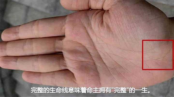 代孕妇女多少钱-上海专业的合法代孕_据说命中有几个孩子通过查询表可免费了